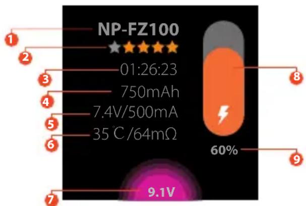 ISDT NP2 - Istruzioni Operative - 5