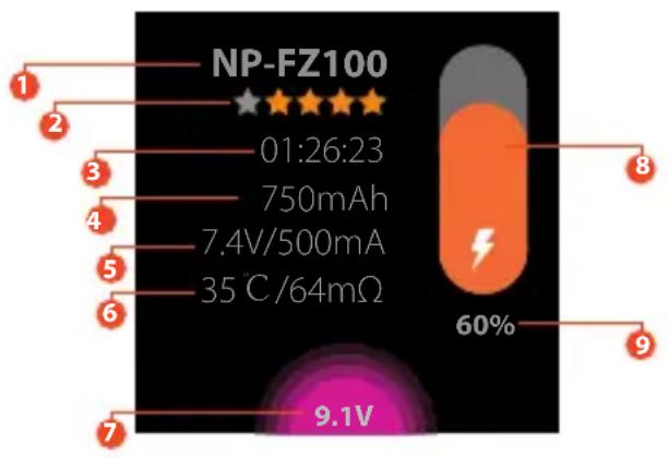 ISDT NP2 - Instrucciones de uso - 5