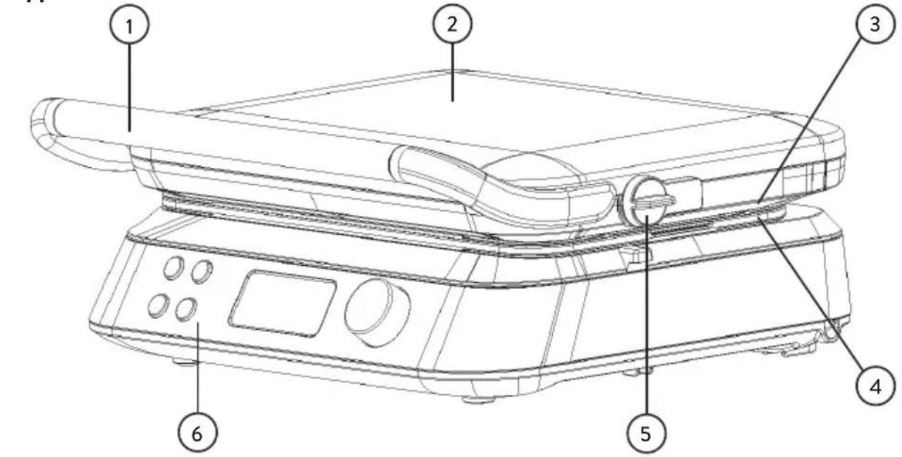 Springlane Wanda - Product description - 1