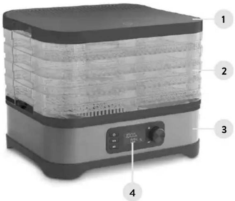 Springlane Dora - Product description - 1