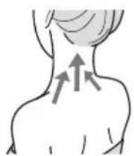 PANASONIC ES-WR51 - Nape of the neck/back - 1