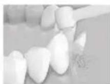 PANASONIC EW-DJ67 - Lightly place the brush tip on the crooked teeth. - 1