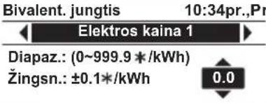 PANASONIC WH-WXG16ME8 - Pamiršto slaptažodžio atkūrimas (operacija atliekama išjungtu ekranu) - 31