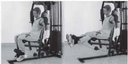 Christopeit SP 5000 - DES EXERCICES - 1