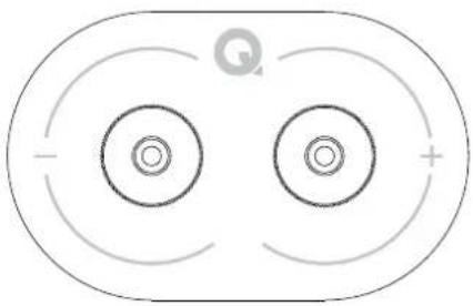 Q Acoustics 5020 - Terminals and Connectors - 1