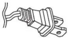 Riccar Spirit R21 - CABLE DE ALIMENTACIÓN POLARIZADO DE 2 HILOS - 1