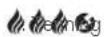 Outdoorchef Chelsea 420 G - INSTRUCTIONS D'ALLUMAGE DU CITY 420 G - 9