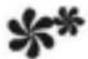 Brandson 303352 - Uso - 3