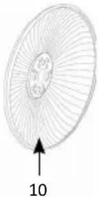 Brandson 306535 - product details - 2