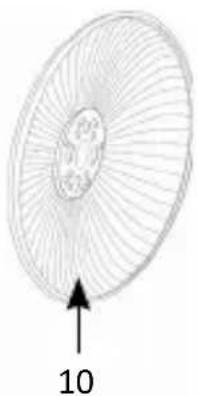 Brandson 306535 - Detalles del producto - 2