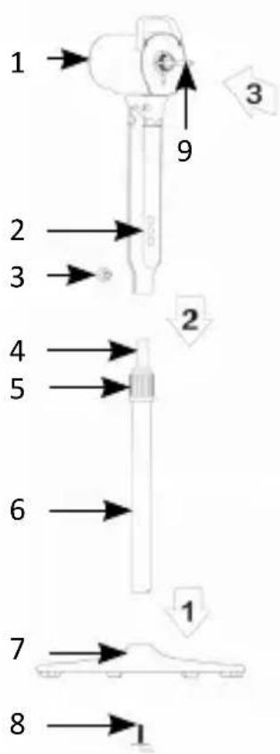 Brandson 306535 - product details - 1
