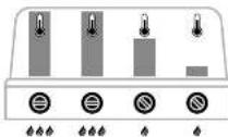 Outdoorchef Dualchef 315 G - THE DGS® ZONE DIVIDER - 7