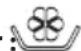 CECOTEC Bolero DressCode 620 E - 3.- Softener - 1