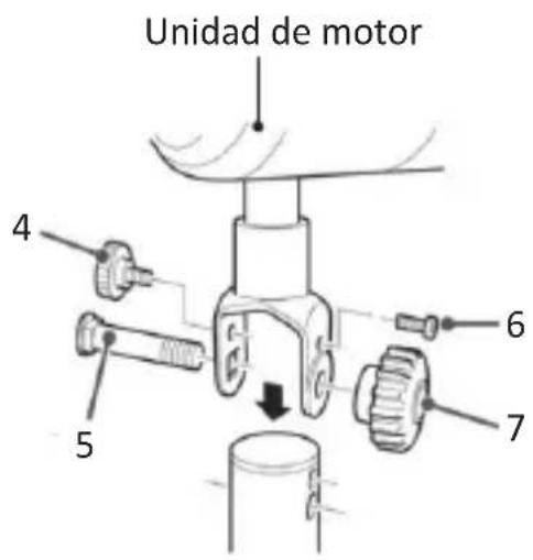 Brandson 304961 - Detalles del producto - 2