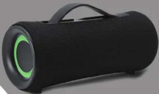 GMB Audio SPK-BT-LED-04 - 1