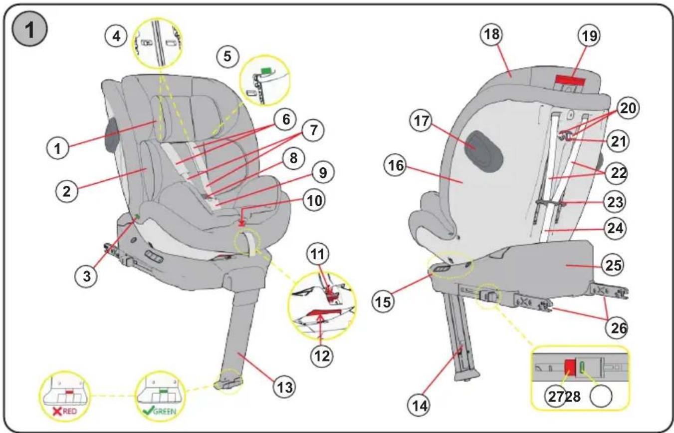 Chipolino Tourino - 1