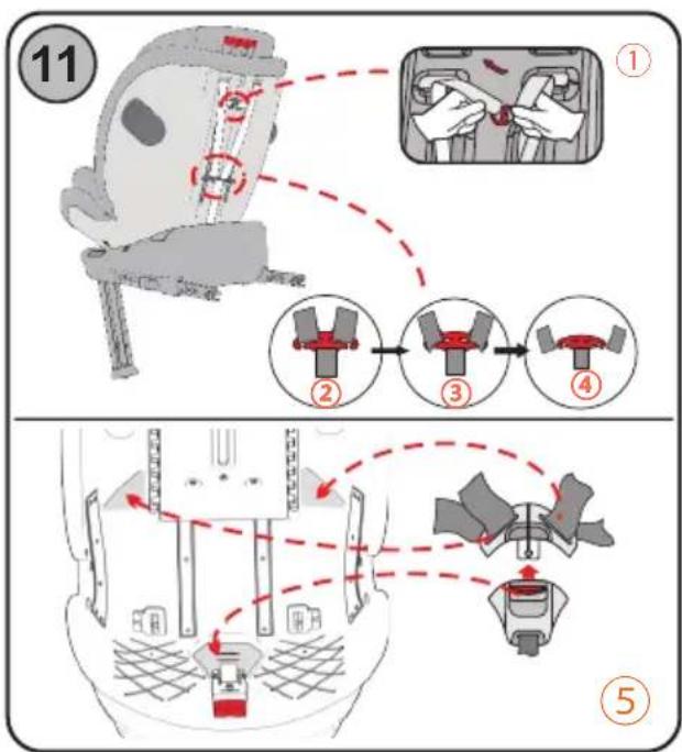 Chipolino Tourino - 12
