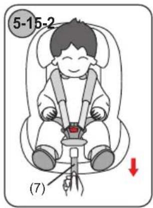 Chipolino Tourino - 4