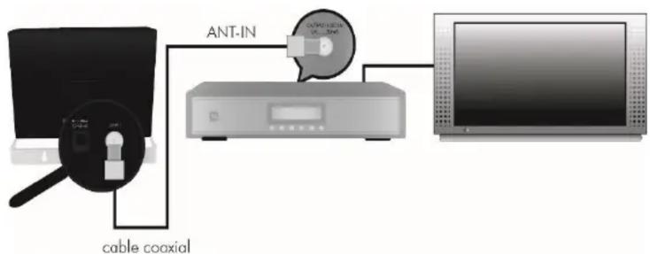 CGV AN-Réglisse LTE - Branchements : - 1