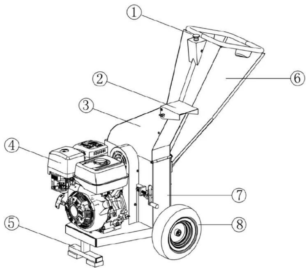 Anova BIO150T - Partes de laquina - 1