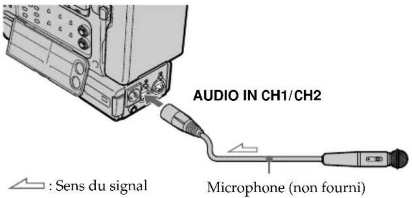 AUDIO IN CH1/CH2 : Sens du signal Microphone (non fourni)