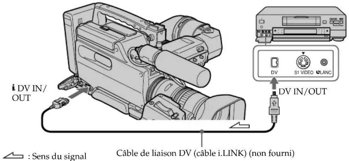 DV IN/OUT : Sens du signal Câble de liaison DV (câble i.LINK) (non fourni) DV IN/OUT