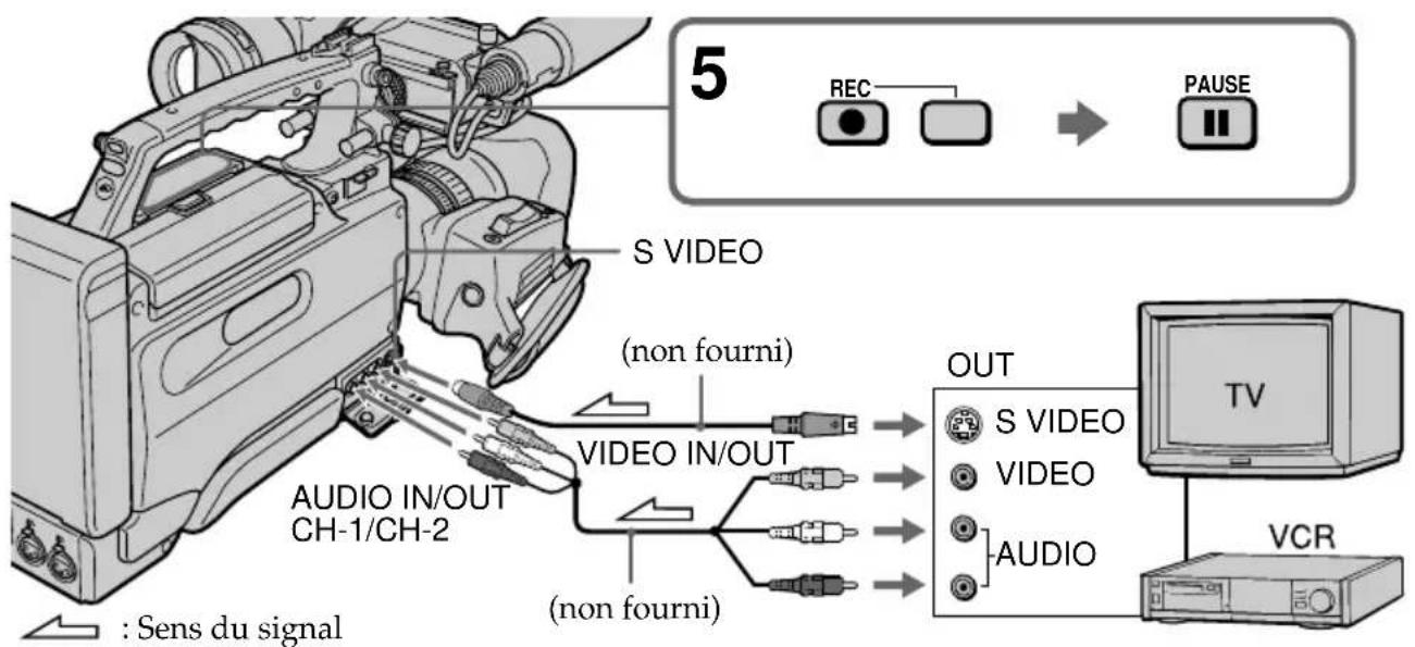 5 REC → PAUSE S VIDEO (non fourni) VIDEO IN/OUT CH-1/CH-2 AUDIO IN/OUT (non fourni) OUT S VIDEO VIDEO AUDIO TV VCR : Sens du signal