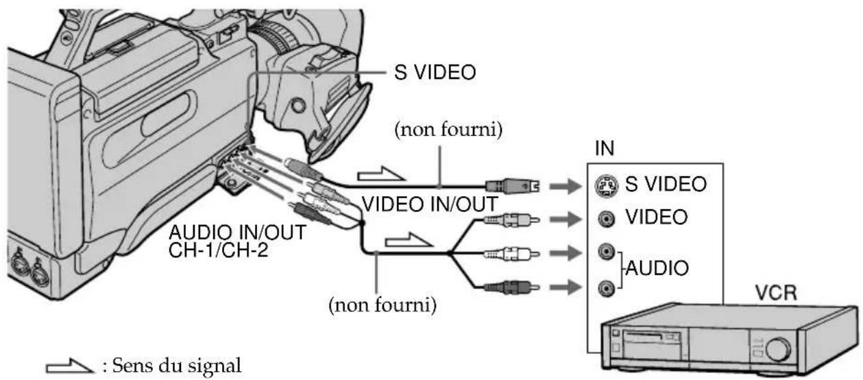 S VIDEO (non fourni) VIDEO IN/OUT CH-1/CH-2 AUDIO IN/OUT (non fourni) IN S VIDEO VIDEO AUDIO VCR : Sens du signal