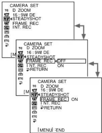 SONY DSR-250P - Enregistrement image par image - enregistrement découpé - 3