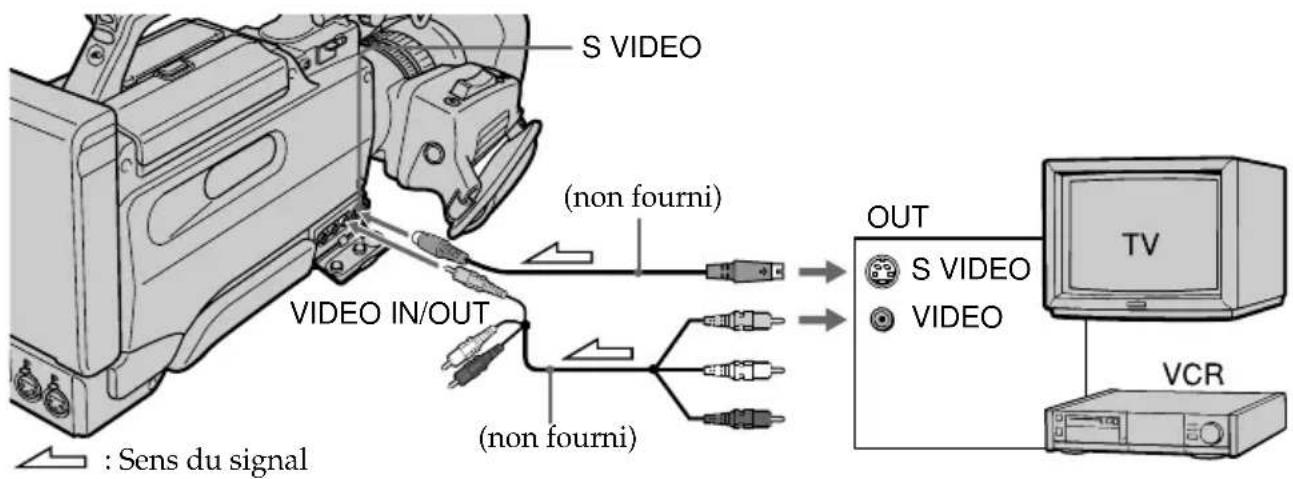 S VIDEO (non fourni) VIDEO IN/OUT (non fourni) OUT S VIDEO VIDEO TV VCR : Sens du signal