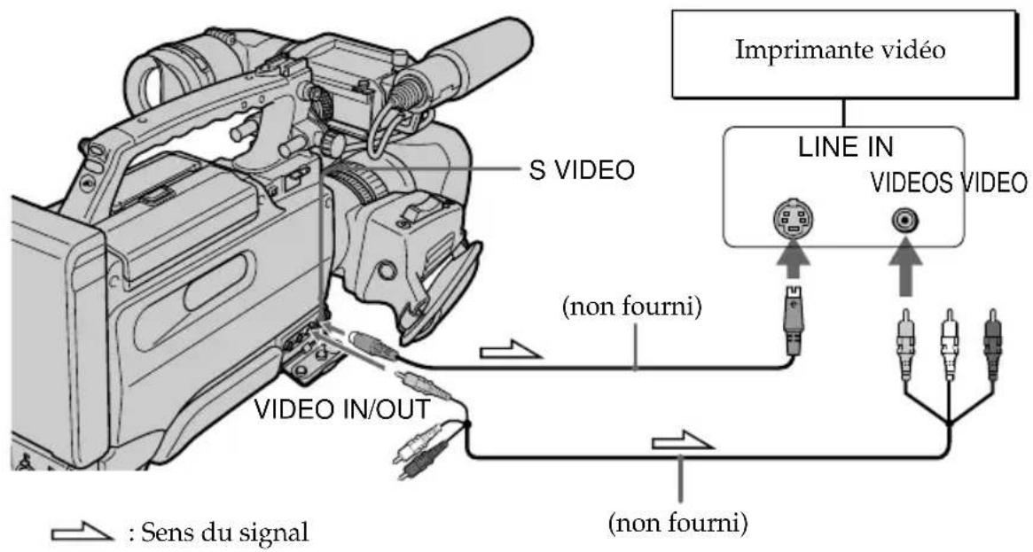 Imprimante vidéo S VIDEO LINE IN VIDEOS VIDEO (non fourni) VIDEO IN/OUT (non fourni) : Sens du signal