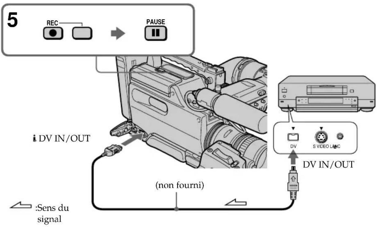 5 REC PAUSE DV IN/OUT (non fourni) DV S VIDEO LANC DV IN/OUT :Sens du signal