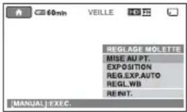 60min VEILLE REGLAGE MOLETTE MISE AU PT. EXPOSITION REG.EXP.AUTO REGL.WB REINIT. MANUAL:EXEC.