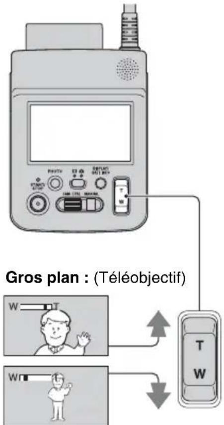 Gros plan : (Téléobjectif) W T W
