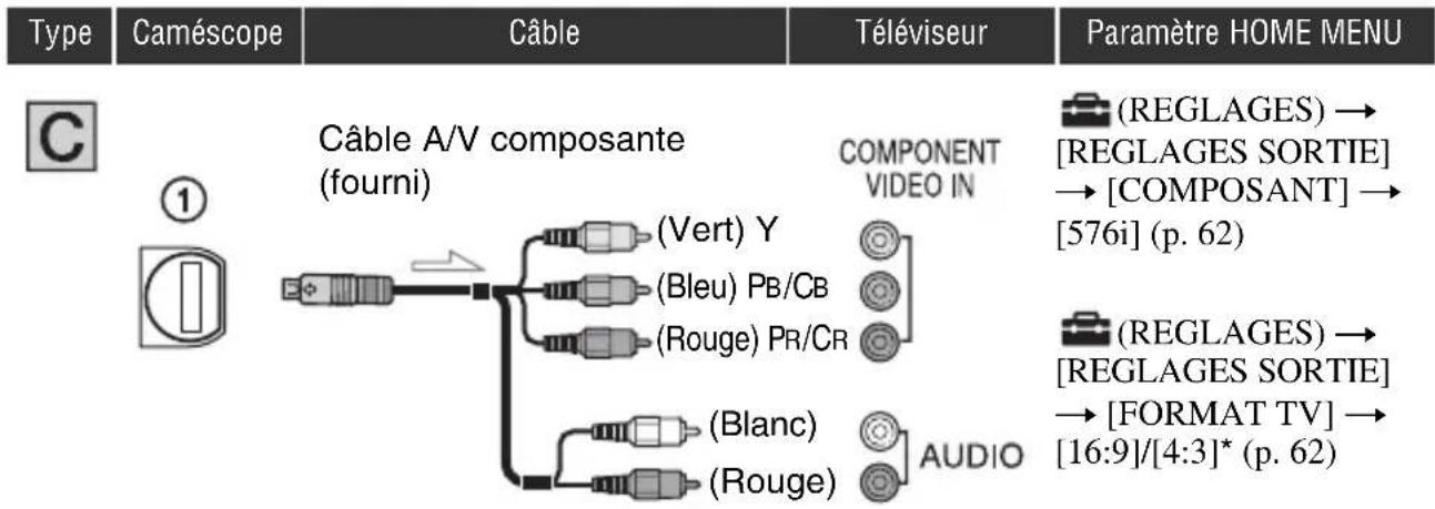SONY HXR-MC1P - Remarques - 2