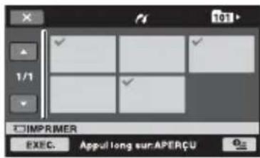 101 √ 1/1 √ IMPRIMER EXEC. Appul long sur APERÇU