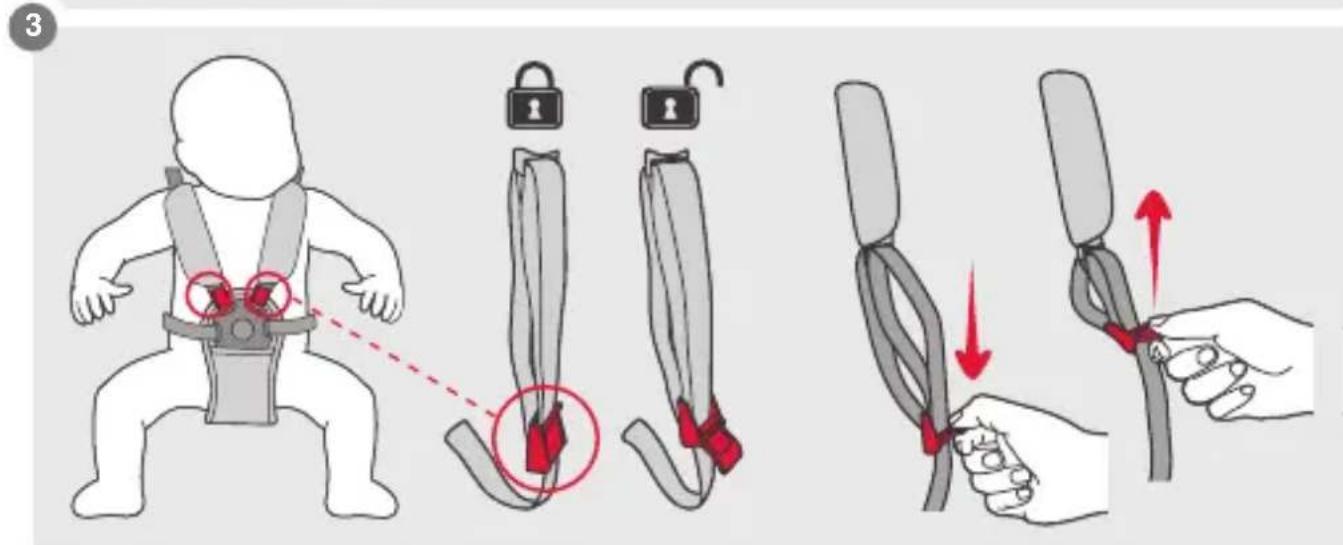 Phil & Teds dot v3 - important information - 45