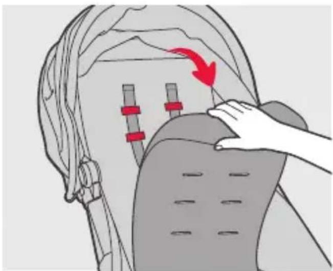 Phil & Teds dot v3 - important information - 48