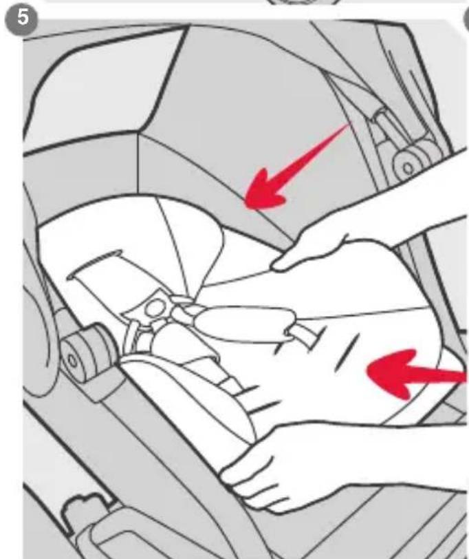 Phil & Teds dot v3 - important information - 102