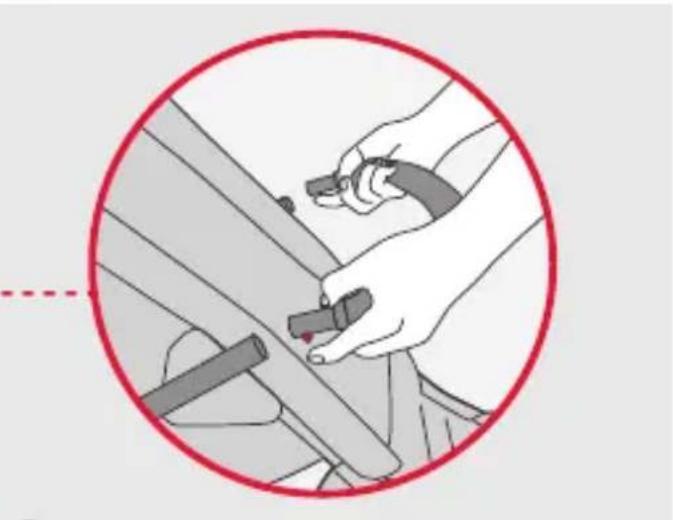 Phil & Teds dot v3 - important information - 40