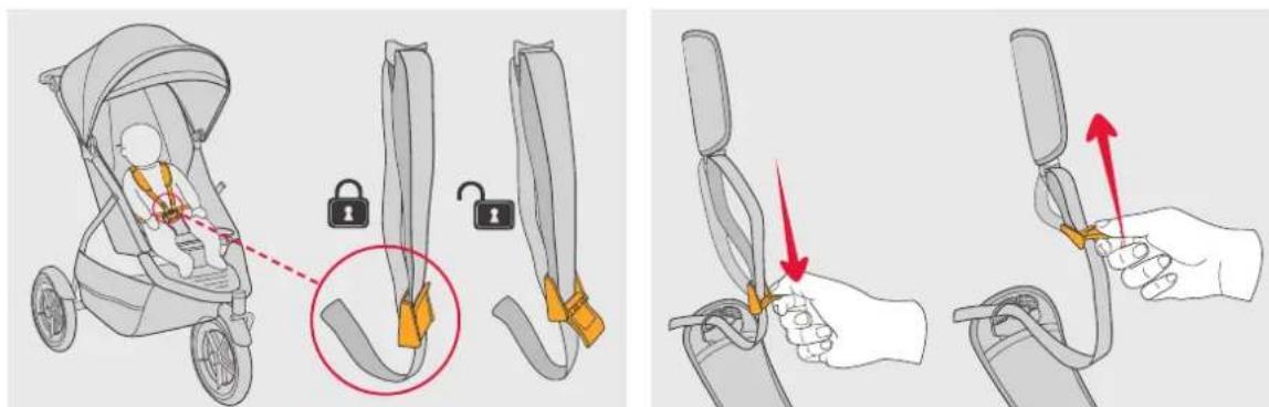 Phil & Teds dot v1 - European Safety Standard: - 34