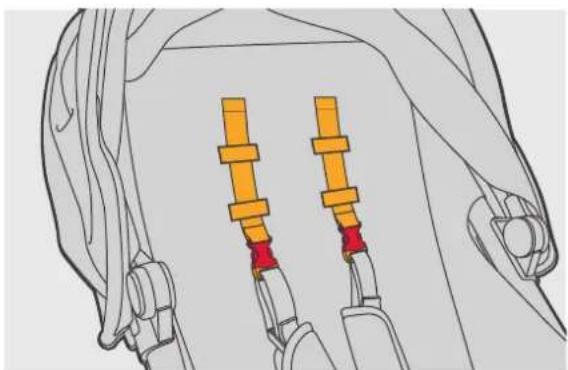 Phil & Teds dot v1 - European Safety Standard: - 36