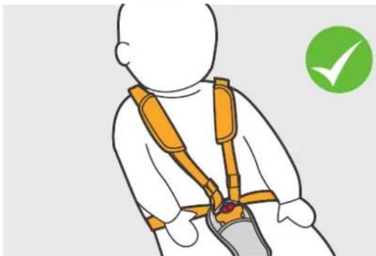 Phil & Teds dot v1 - European Safety Standard: - 38