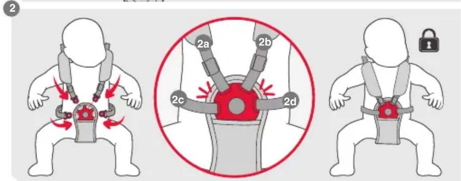 Phil & Teds sport v3 - -- important information - 39