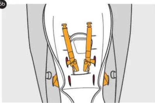 Phil & Teds verve v1 - Canadian Safety Standard: - 24