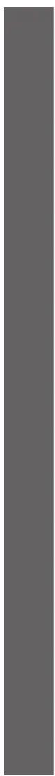 Phil & Teds verve 3 - VERVE™/VIBE™ - 7
