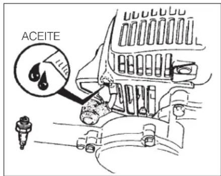 Maruyama H23DL - ALMACENAMIENTO - 1