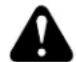 Maruyama BL85-T - OWNER'S WARRANTY RESPONSIBILITIES: - 1