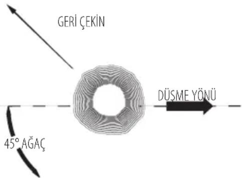 DEWALT DCM585 - Ortak Kesim Teknikleri (Şek. A, P, Q, U, V, W) Ağaç devirme - 1