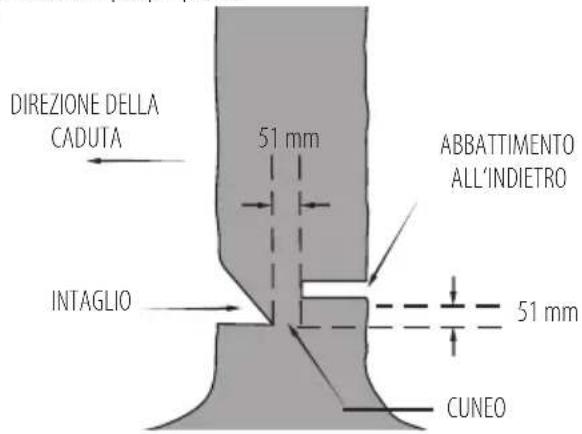 DEWALT DCM585 - Abbattimento - 2
